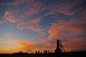 Mt Adams Sunset